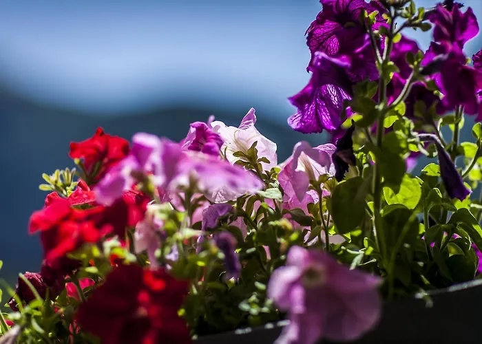 Fletschhorn Hotel Simplon