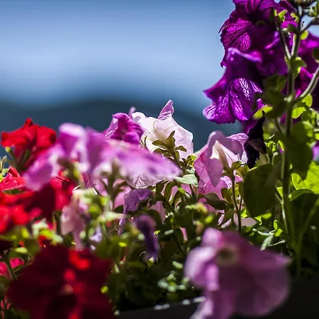 Fletschhorn Hotel Simplon